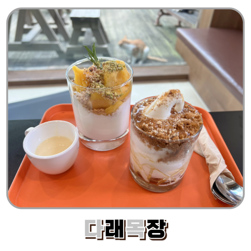다래목장 청주 내수 아이와 가볼만한 카페