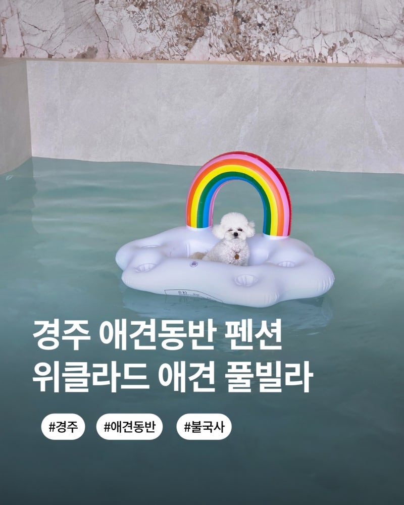 경주 애견동반 펜션 불국사 풀빌라 숙소 위클라드 애견풀빌라