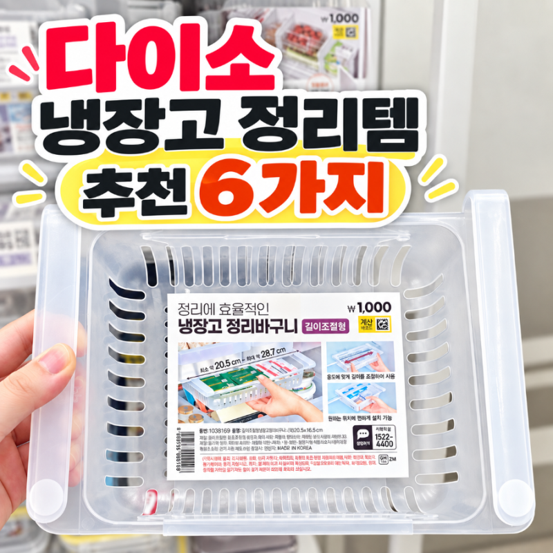 다이소 냉장고 정리템 추천｜직접 둘러보고 고른 정리용품 6가지