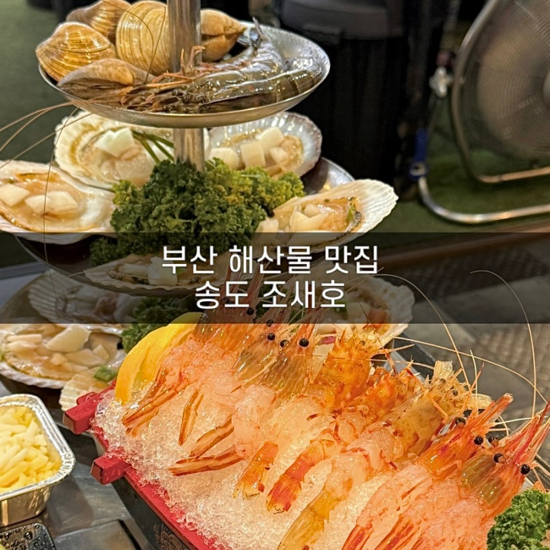부산 송도 조개구이와 독도새우를 한 번에 맛볼 수 있는 송도 조새호