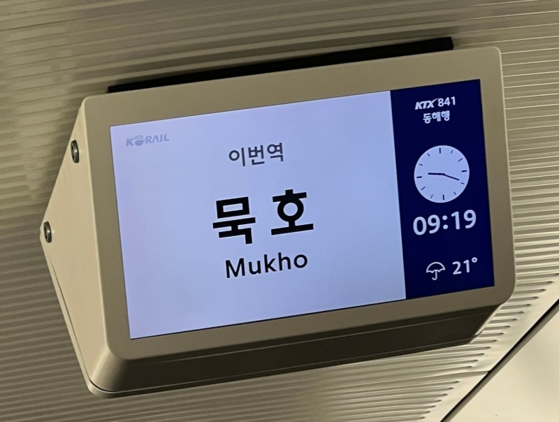 [묵호 여행] 뚜벅이 1박2일 1일차｜폭우 속 묵호여행, 소품샵부터 이야기고래까지