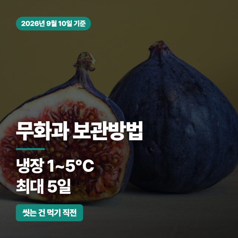 무화과 보관방법, 씻는 건 먹기 직전입니다 | 손질법부터 냉동보관까지