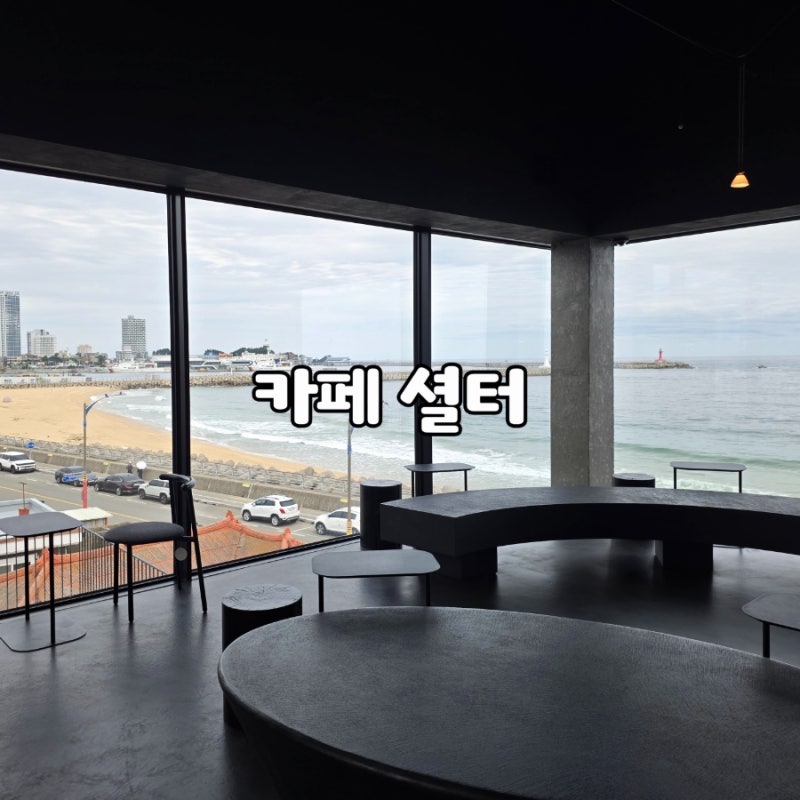 강원도 속초 오션뷰 카페 셜터 평일 후기 속초아이 케이크