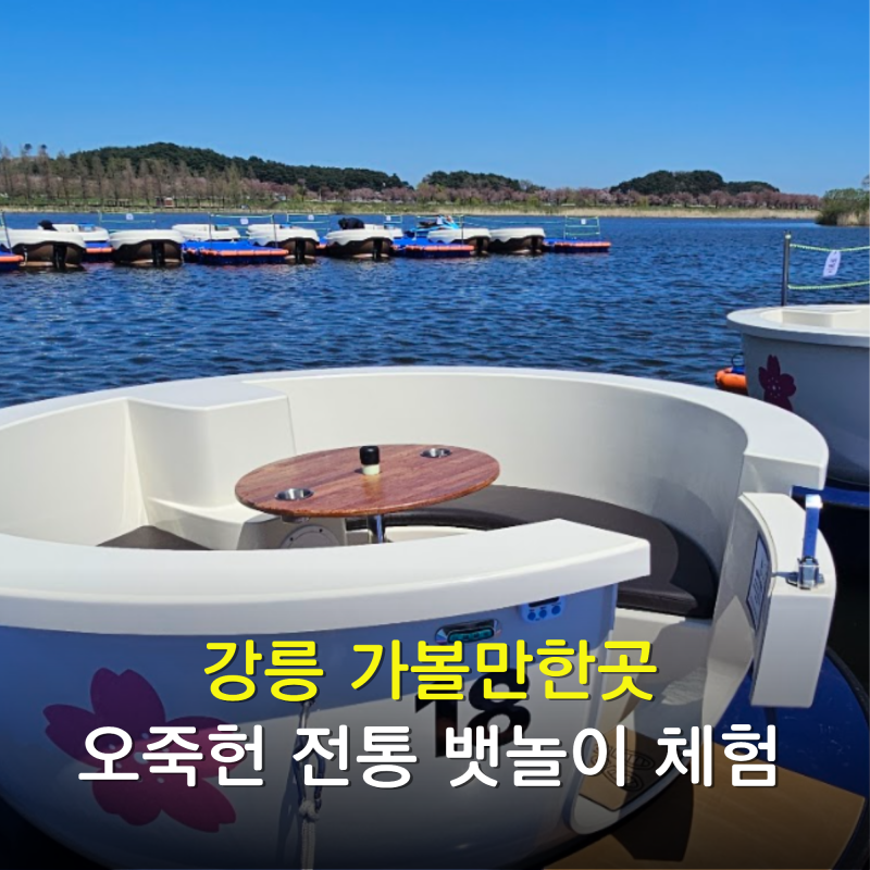 강릉가볼만한곳 강릉 오죽헌 전통 뱃놀이 커피콩보트 체험
