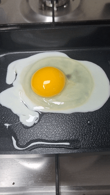 실바트 까리노 사각팬 18cm 24cm 직접 써보니, 첫 세척부터 계란후라이까지