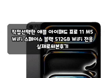 직접선택한 애플 아이패드 프로 11 M5 WiFi 스페이스 블랙 512GB WiFi 전용 실제로써본후기