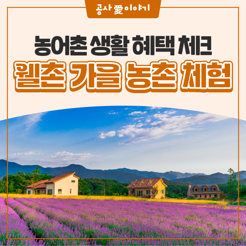 가을 농촌 체험, 어디서 찾지?