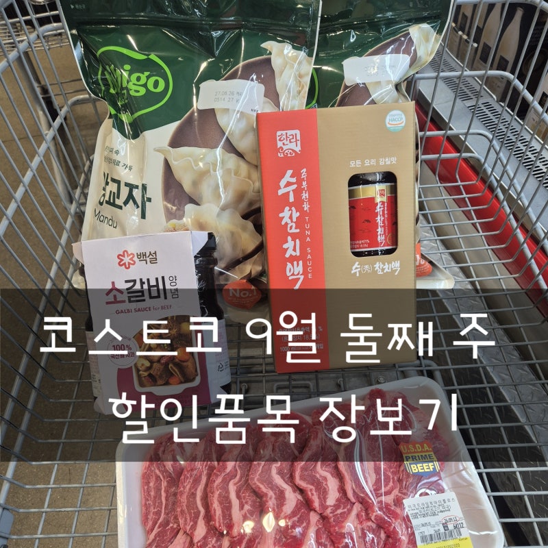 코스트코 9월 둘째 주 할인품목 장보기 후기 (무화과스프레드, 척아이롤, 비비고 왕교자)