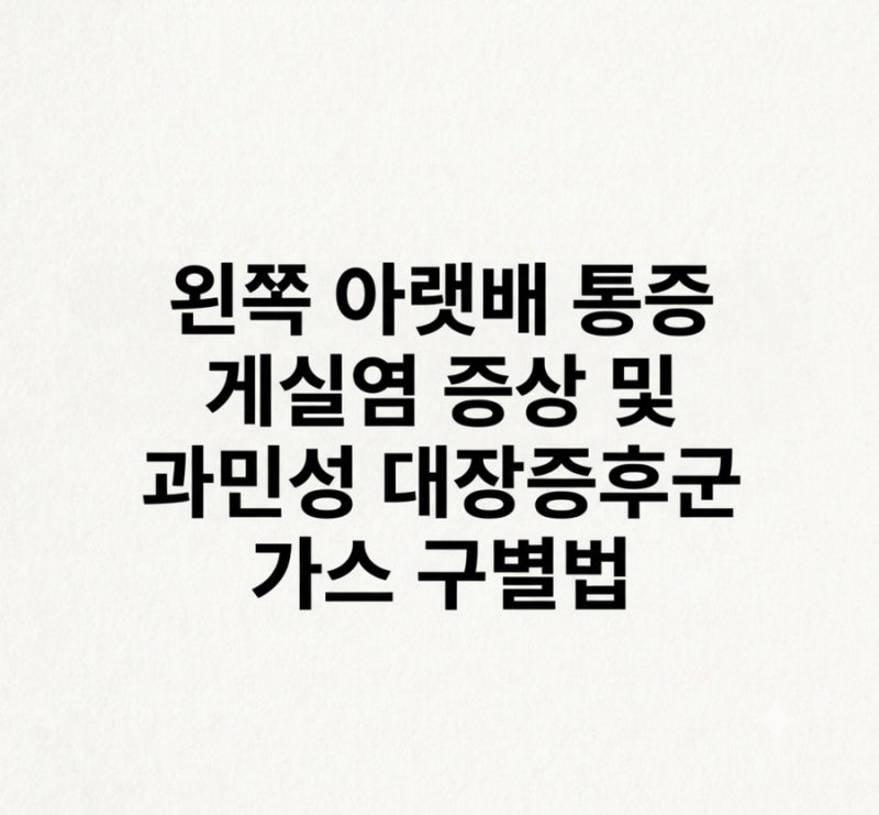 왼쪽 아랫배 통증 게실염 증상 및 과민성 대장증후군 가스 구별법