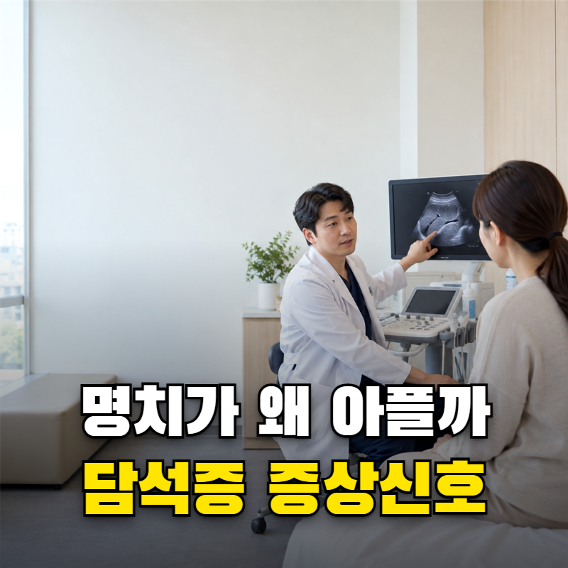 담석증 증상 기름진 음식 먹고 명치가 아팠다면 소화불량과 어떻게 구분할까