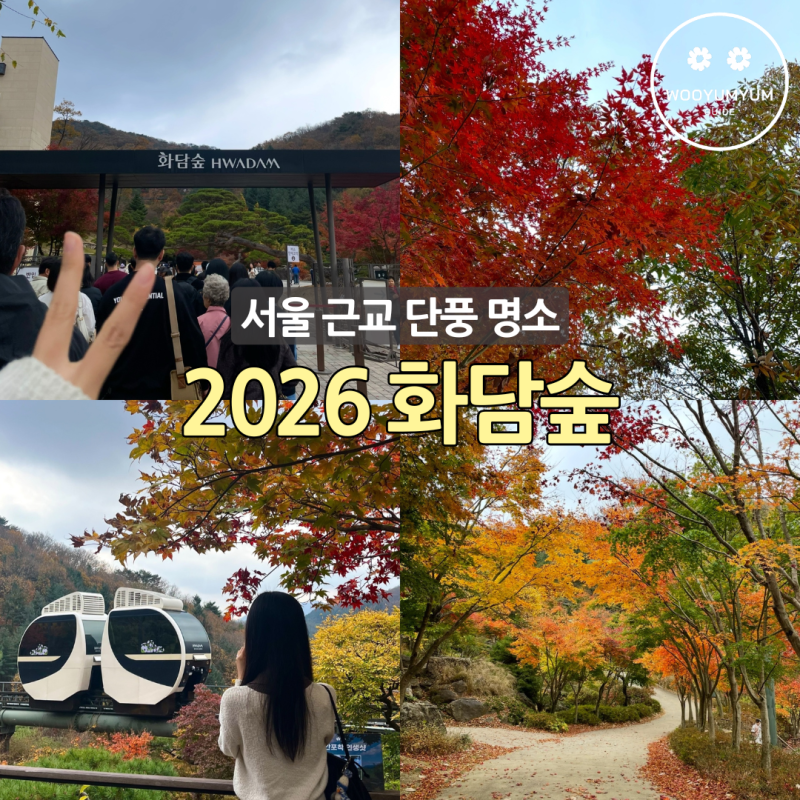 2026 화담숲 서울근교 단풍명소 예약방법·모노레일·주차 꿀팁 대방출!