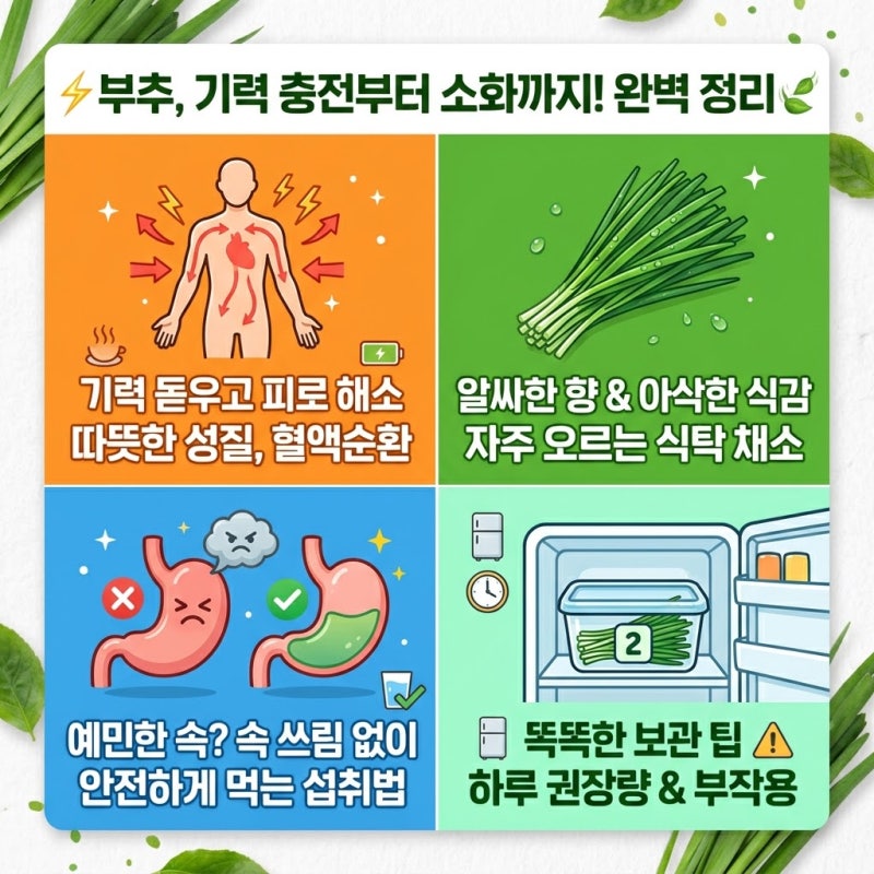 부추 효능과 부작용, 속 쓰림 없이 안전하게 먹는 법과 하루 권장량 정리