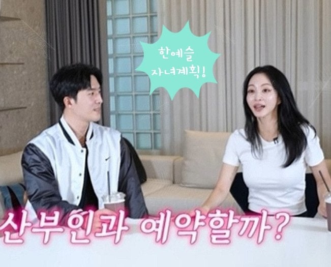 한예슬 임신설, 육아 웹툰 한 장이 만든 오해
