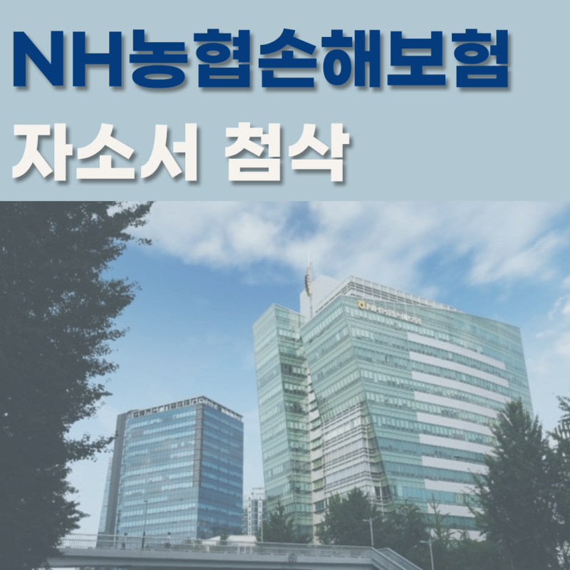 NH농협손해보험 자소서 첨삭 후기 | 농협손보 서류합격 2026