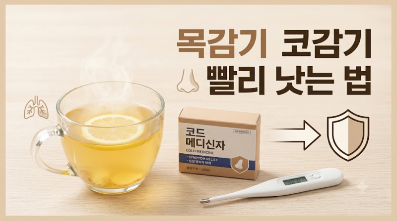 목감기 코감기 빨리 낫는 법 초기 약 복용과 적정 습도 팁