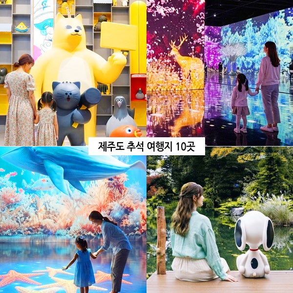 날씨 걱정 없는 제주도 추석 여행지 추천 9월 제주 실내 관광지 놀거리