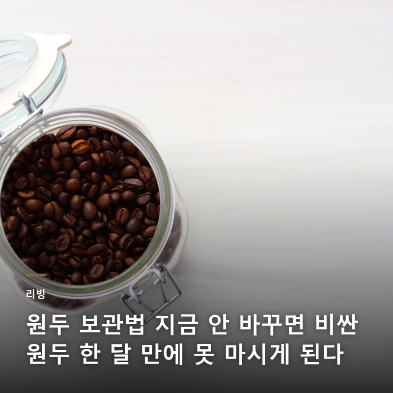 원두 보관법 밀폐용기 무용지물? 냉동실 넣으면 안 되는 진짜 이유