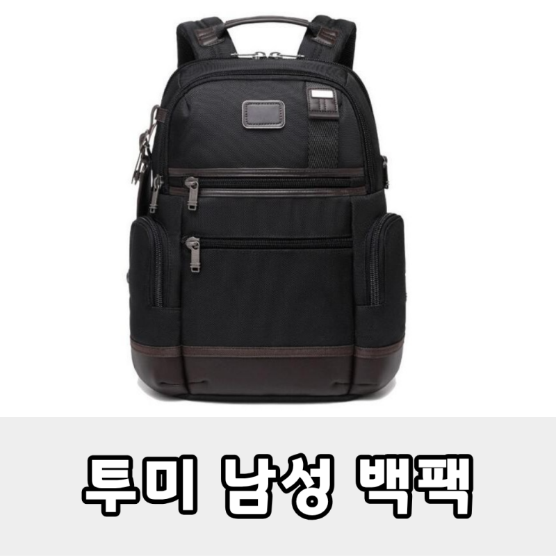 직장인 남성 백팩 끝판왕, 투미 알파3 0222681D 솔직 후기