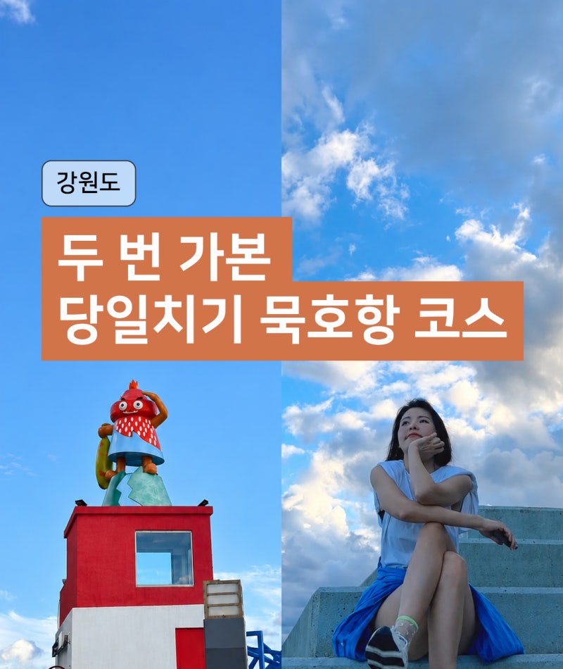 동해 묵호항 당일 코스｜두 번 가보고 추천하는 논골담길 코스·주차 정보