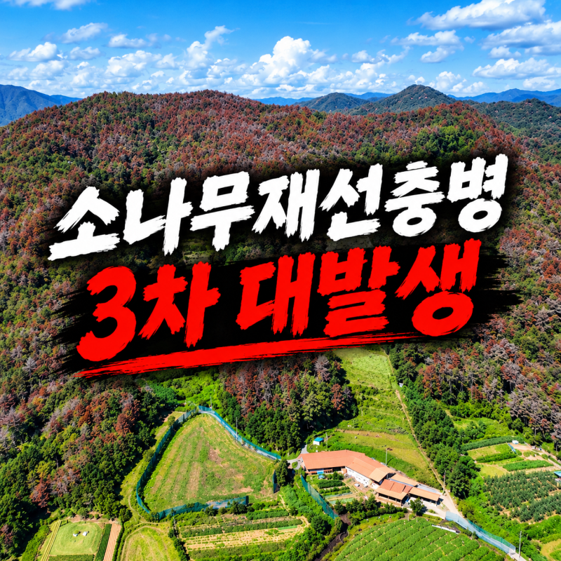소나무재선충병, 3차 대발생 총정리