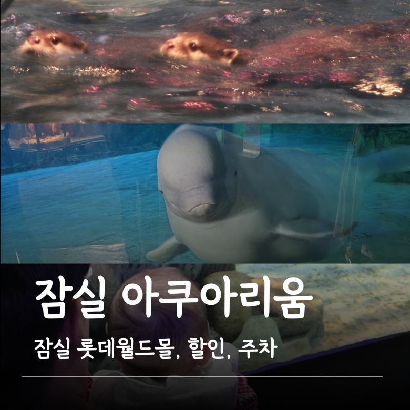 樂天世界水族館_折扣、價格、停車、表演時間、帶寶寶去水族館