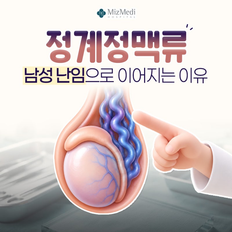 강서구비뇨기과 정계정맥류 남성 난임으로 이어지는 이유