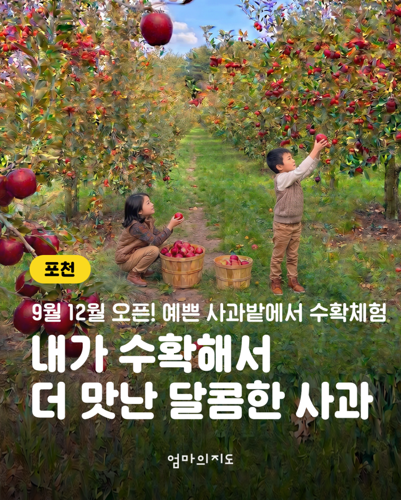 경기도 포천 아이와 가볼 만한 곳: 사과도 따고 카트도 타는 '사과깡패' 꿀팁 총....