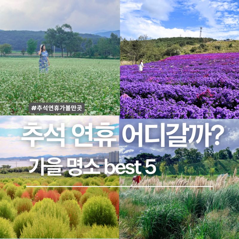 추석연휴 가볼만한곳 경남 경북 가을꽃 가족여행 best 5