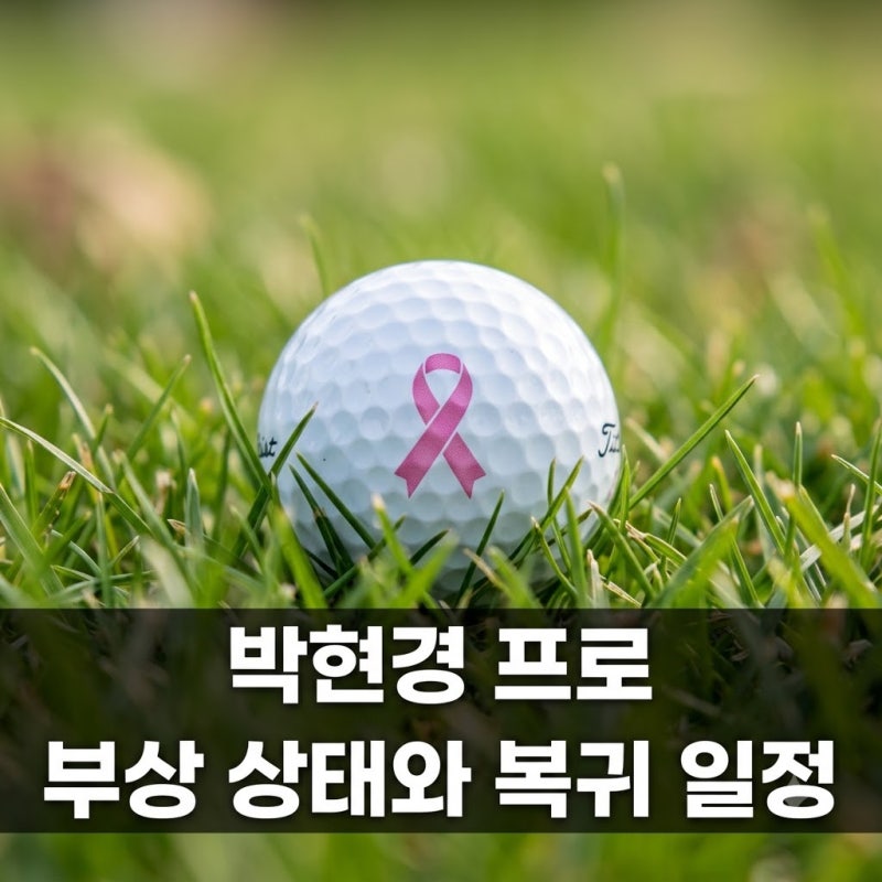 "갑자기 결장이라니 ㅠㅠ" 박현경 프로 발목 부상 상태와 복귀 일정 총정리