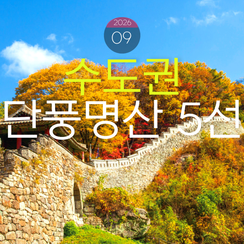 수도권에서 가볍게 떠나는 단풍 명산 베스트 5 (ft. 소요산, 북한산 우이령길, 운길산)