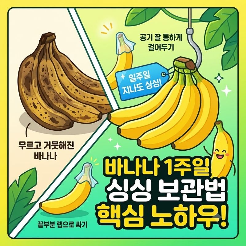 바나나 보관법 일주일 지나도 무르지 않고 싱싱하게 유지하는 핵심 노하우