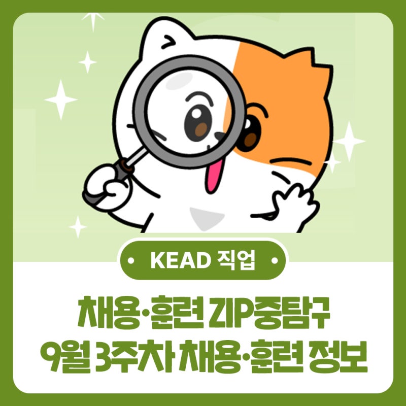 한국장애인고용공단이 전하는 9월 3주차 채용·훈련 ZIP중 탐구