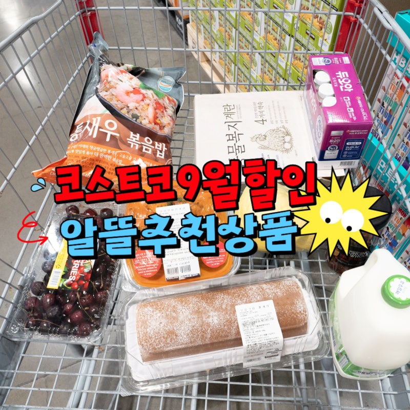 코스트코 9월 할인 둘째주 셋째주 알뜰 추천상품