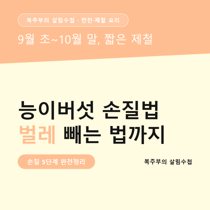 능이버섯 손질법, 벌레 빼는 순서와 데치는 시간까지 정리했어요