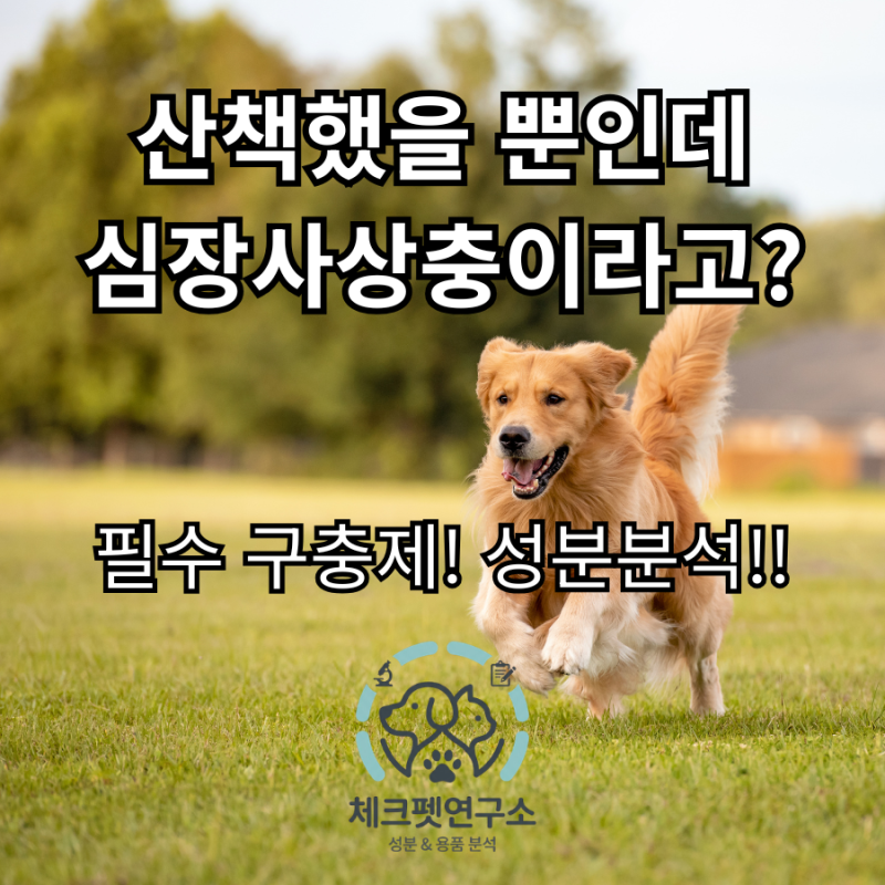 [강아지 고양이 건강정보] 산책만 했는데 심장사상충? 우리 아이에게 꼭 맞는 구충제, 직접 ....