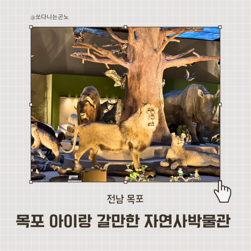 목포 아이랑 가볼만한곳 목포자연사박물관 공룡부터 4D까지