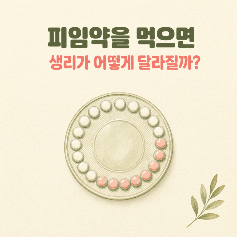 피임약을 먹으면 생리가 어떻게 달라질까? | 알고 선택하는 호르몬 이야기