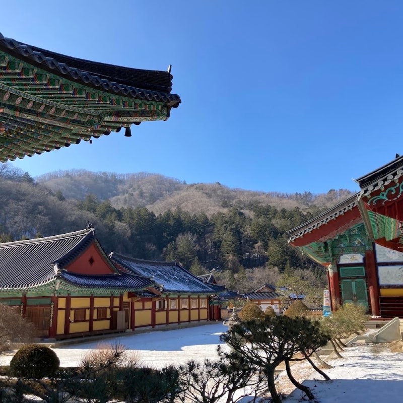 평창 가을에 가볼만한곳 BEST 3｜단풍·목장·케이블카 가을여행
