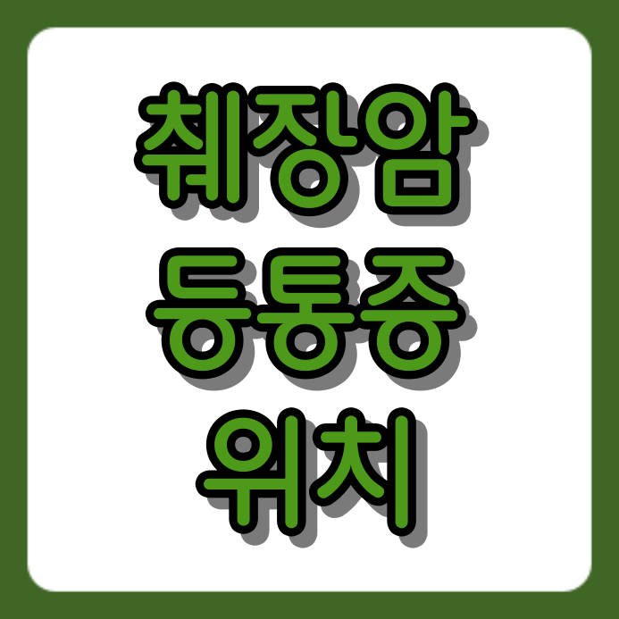 단순 담 아닌 '췌장암 등통증 위치'… 이 부위 아프면 즉시 병원 가세요