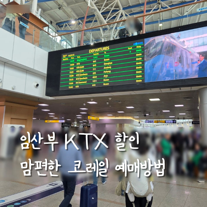 맘편한 코레일 임산부 KTX 40% 할인 신청방법, 앱 예매방법