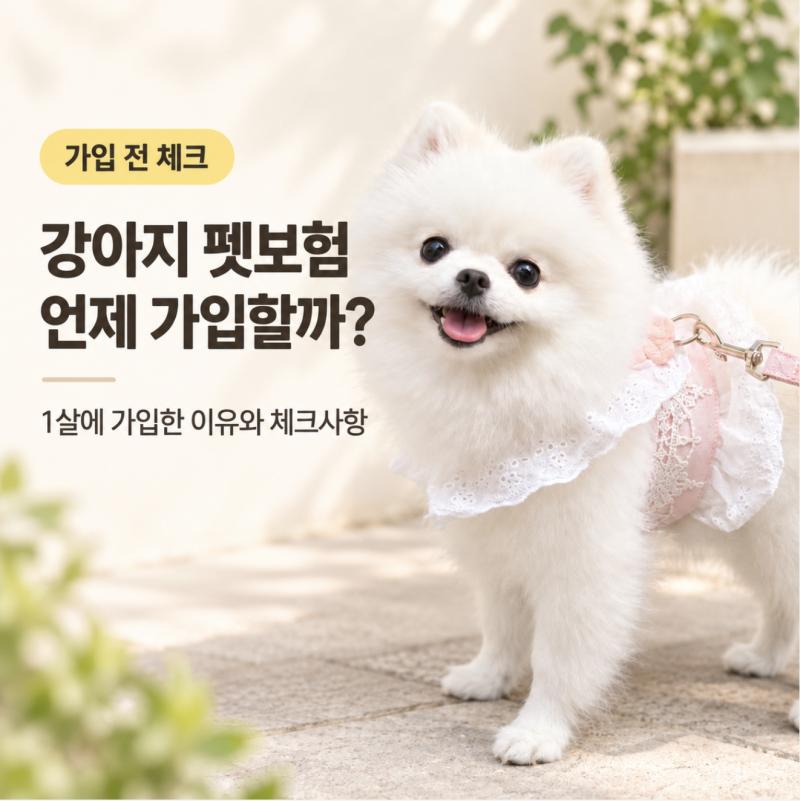 강아지 펫보험 언제 가입할까? 1살에 가입한 이유와 가입 전 체크사항