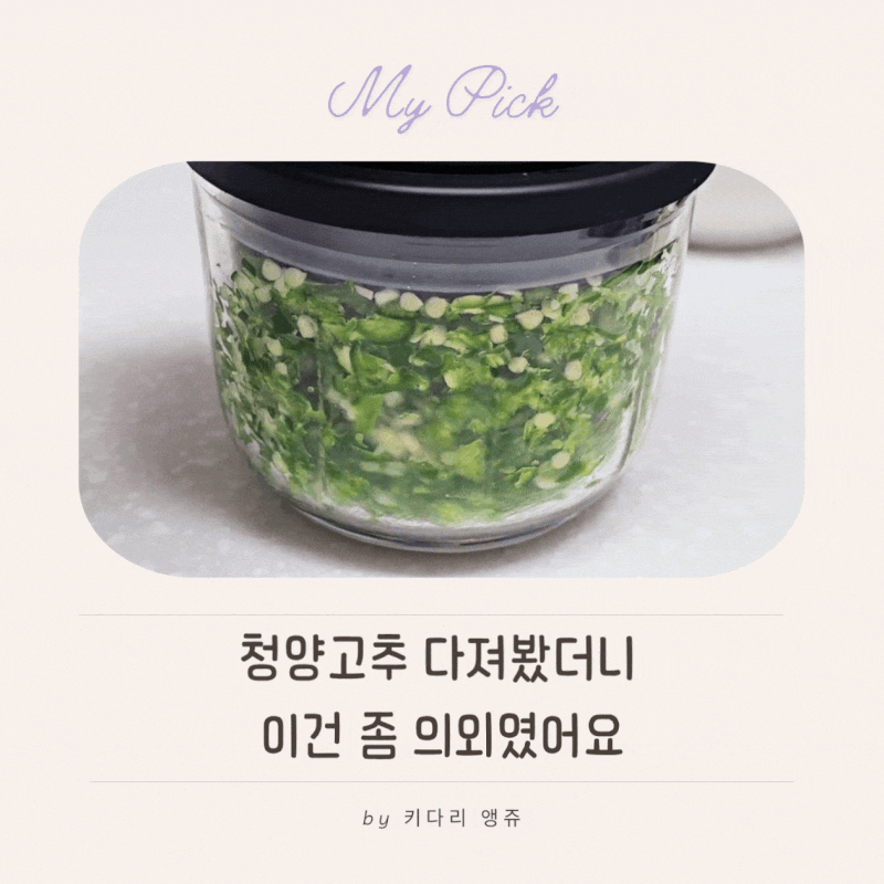 무선 자동 야채 다지기 사용 후기, 청양고추 직접 다져보니 장단점 확실