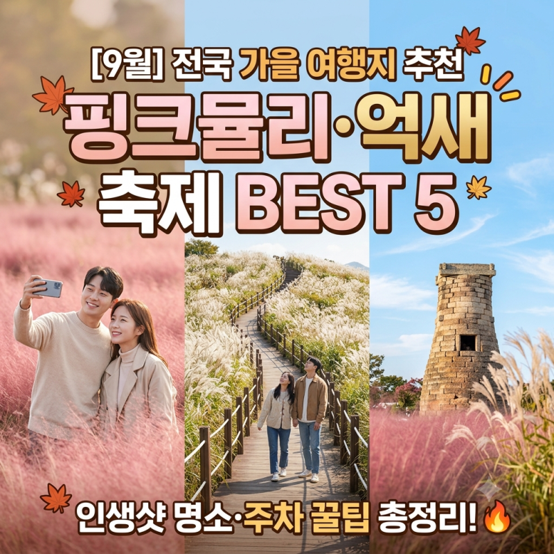 [9월 가을 여행지 추천] 전국 핑크뮬리·억새 축제 BEST 5 & 인생샷 포토존·주차 꿀팁 총정리