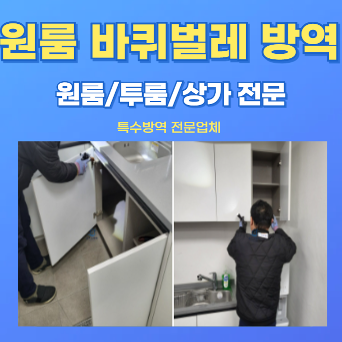 원룸 바퀴벌레 방역, 비용과 셀프 퇴치 실패하는 이유!