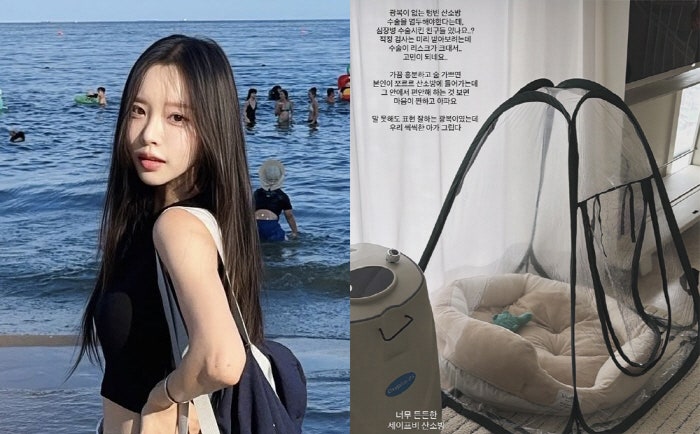 박성광 아내 이솔이, 반려견 광복이 심장 수술 고민, 검사부터 먼저인 이유는?