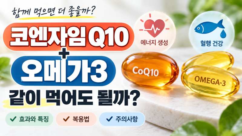 2026 코엔자임 Q10 오메가3 같이 먹어도 될까? 효능·복용법·부작용 정리