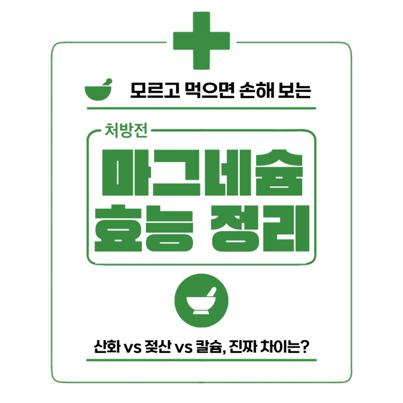 마그네슘 효능 산화 vs 젖산 vs 칼슘, 진짜 뭐가 다른지 비교해봤더니