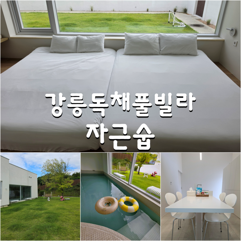 강릉 독채펜션 풀빌라펜션 아이 동반 가족 키즈풀빌라 갖춘 자근숩