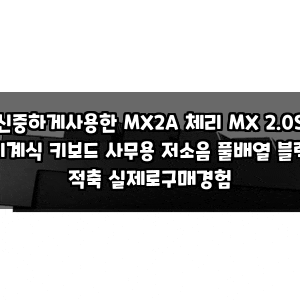 신중하게사용한 MX2A 체리 MX 2.0S 기계식 키보드 사무용 저소음 풀배열 블랙 적축 실제로구매....