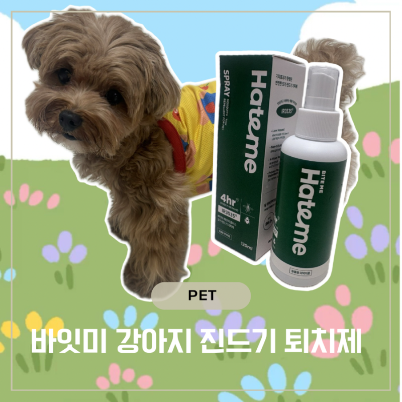 강아지진드기퇴치제 추천! 방향제 말고 진짜 해충방지 헤잇미 플러스